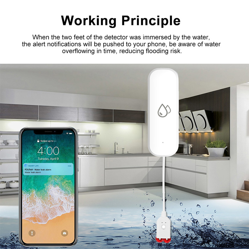 Sensor de Alarma de Fugas de A - Smart Home News reseña y precio