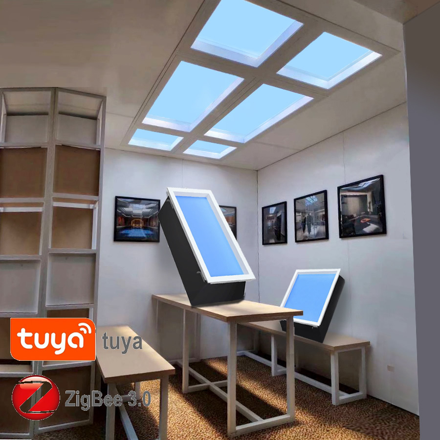 Zigbee Tuya-luz descendente Le - Smart Home Simulation reseña y precio